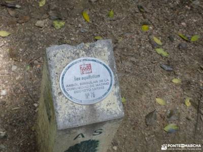Mojonavalle - Sestil de Maillo: Bosques de Canencia;fotos de monfrague madrid zona verde viajes de m